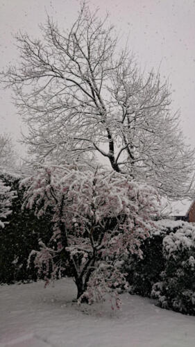 Wintereinbruch im April