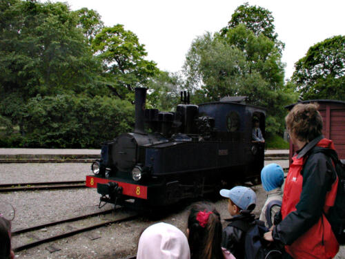 Marifred Museumsbahn